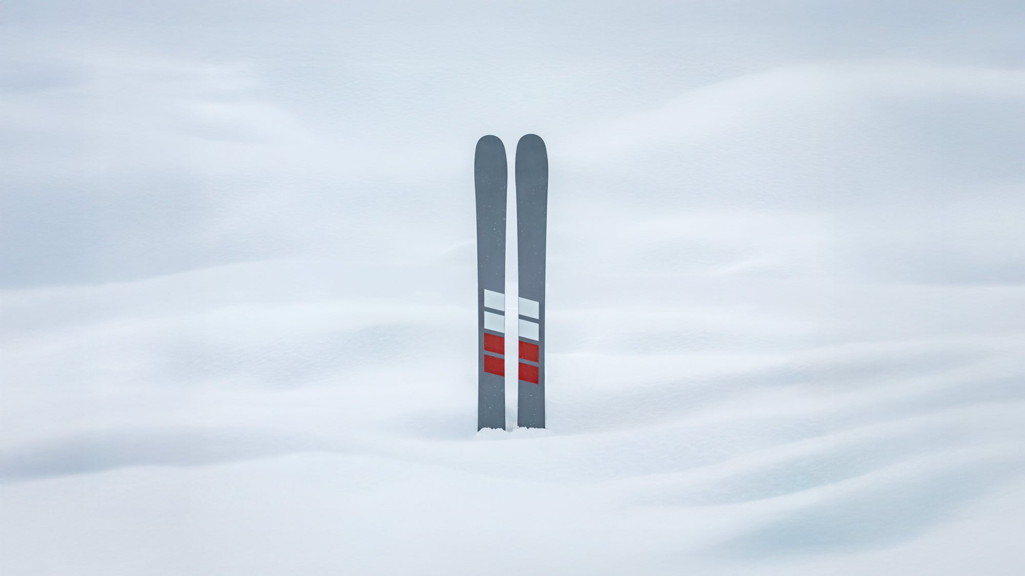 COVER_1_P1056621.jpg?v=