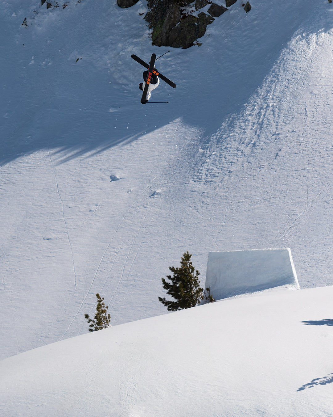 CANDIDE SKIS - BC 111